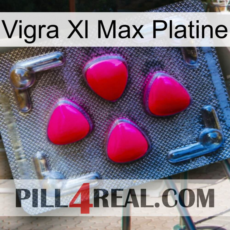 Vigra Xl Max Platinum 13